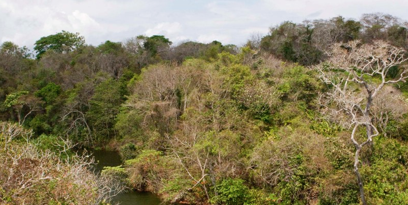 Rio Bonito