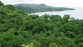 Refugio Mixto Nacional de Vida Silvestre Romelia