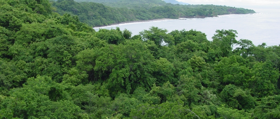 Romelia inland